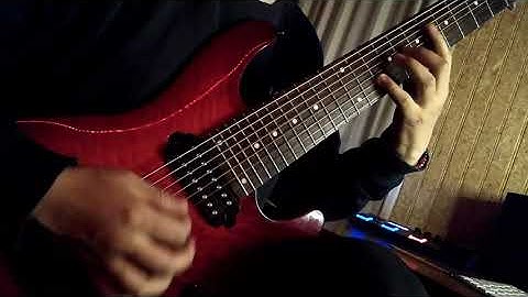 Beyond Creation // Omnipresent Perception (Guitar Solo Cover)