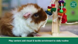 Enriched Life Play Centers from Oxbow Animal Health