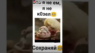 Это я не ем я не кОзел😂😂