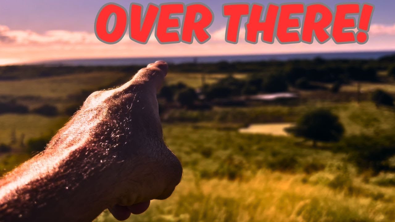 Новое поле, найдено серебро! XP Deus II