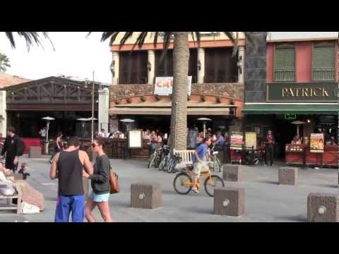 Baja Sharkeez Hermosa, Hermosa Beach, California West Los Angeles