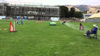 Bev and Pixie - Advanced Jumpers (14) - 2015-05-31
