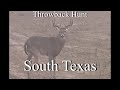 Ghostbucks -Throwback Hunt- South Texas: Cull Bucks, Pigs and Javelina!!!  Blake, Beau & Greg Below