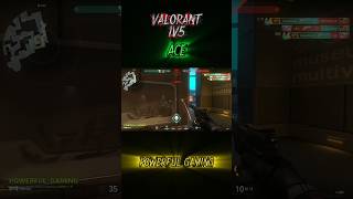 ACE nangalum adipom la 🤣 #valorany