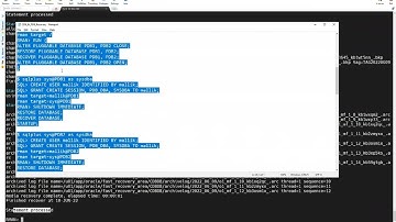 CDB & PDB Recovery