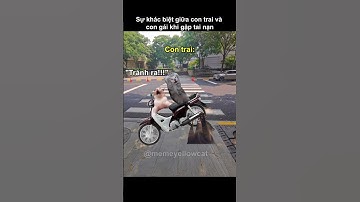 Sự khác biệt giữa con trai và con gái khi gặp tai nạn #memecat #mememeo #memeyellowcat #viral