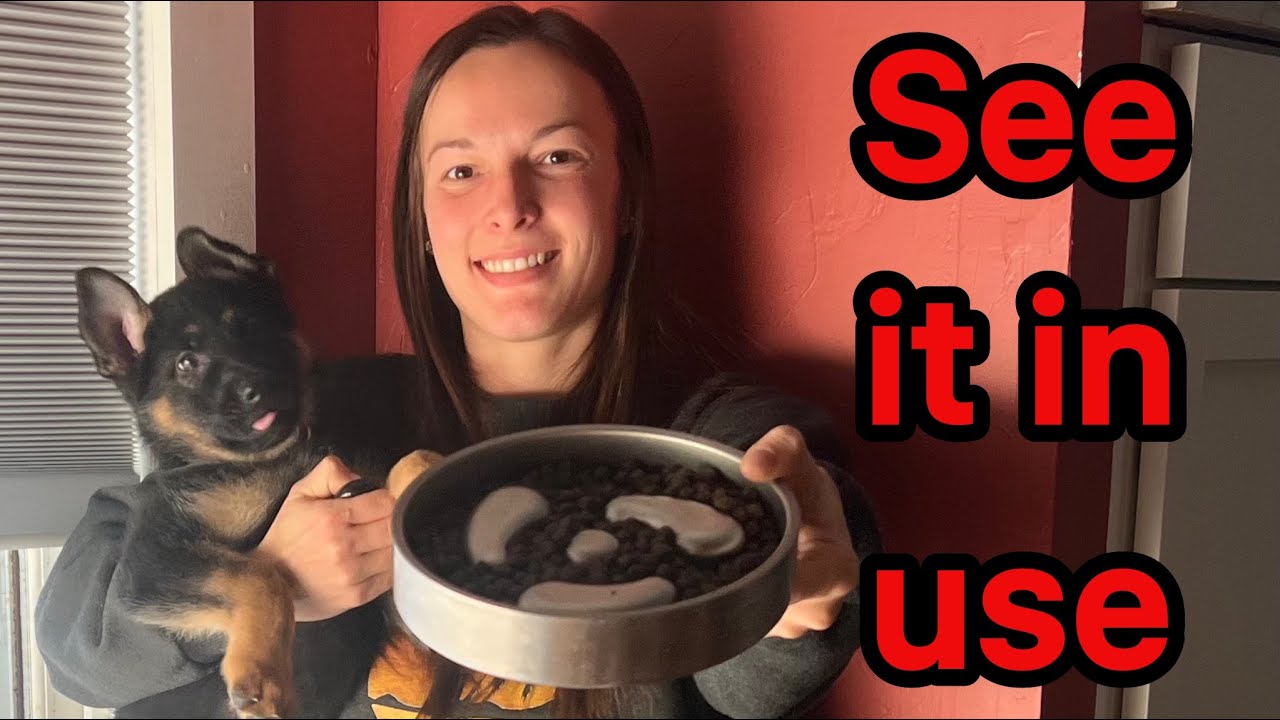 Before VS After Feedoo Slow Feeder Dog Bowl