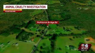 3 dogs found shot to death along Greenville County, South Carolina, road, deputies say