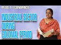 Colonial Impact on India's Industrial Sector and Handicraft Industries