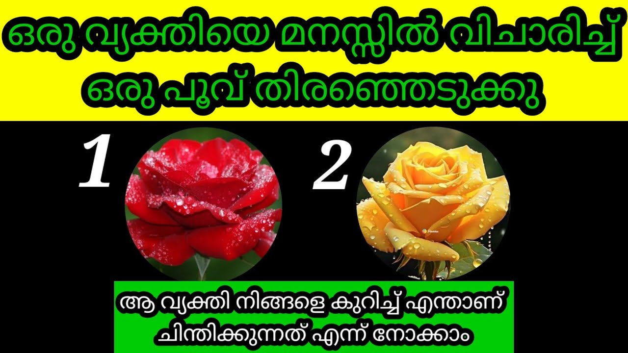 മനസ്സിൽ ഒരാളെ ഓർത്തു ഒരു ചിത്രം തിരഞ്ഞെടുത്തുനോക്കൂ
