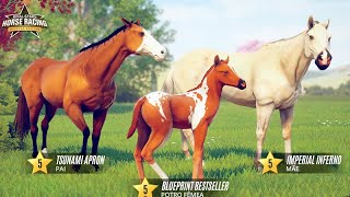 Rival Stars Horse Racing - VAMOS CRIAR CAVALOS DE CORRIDA - Reconstruindo o HARAS screenshot 4