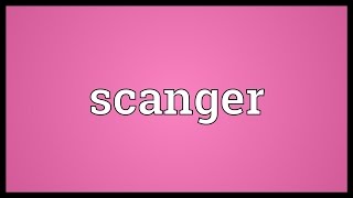 Scanger Meaning