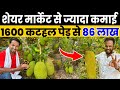         86   jackfruit farming  indian farmer
