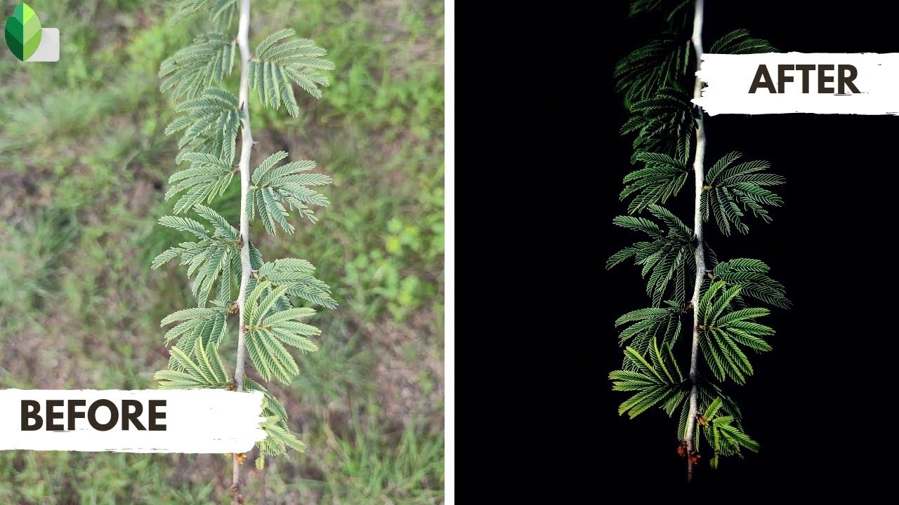 Low-key Photo Editing Tutorial | Before And After 🔥 | Snapseed