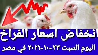 اسعار الدواجن اليوم السبت 23/10/2021