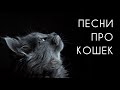 САМЫЕ ТЁПЛЫЕ ПЕСНИ про КОШЕК | С ДНЁМ КОШЕК