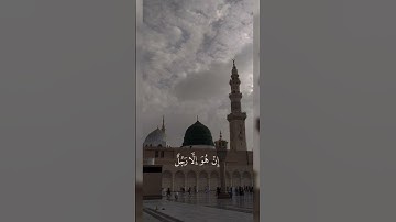 تلاوة هادئة 🍀💗 #تلاوه #الصلاة_على_النبي #راحة_نفسية #تلاوات #تلاوة_خاشعة #قران #هدوء #فلسطين_حرة 💗