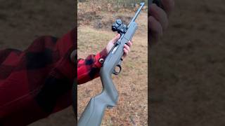 .22 Lr Survival Rifle シ
