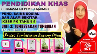 SP: 3.1.2 Tumbesaran Tumbuhan : KSSR Pendidikan Khas Tahun 5 (Pend. Sains, Sosial dan Alam Sekitar)