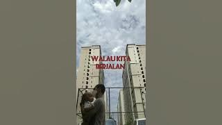 lontehku iwan fals cover lirik Hasyimsyah