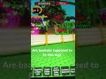 Baobab in grow a garden#roblox #growagarden