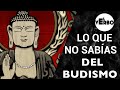 ¿QUÉ es El BUDISMO? | El Verbo