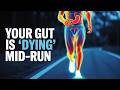Stop the Bathroom Panic: How to "Bulletproof" Your Stomach for Running