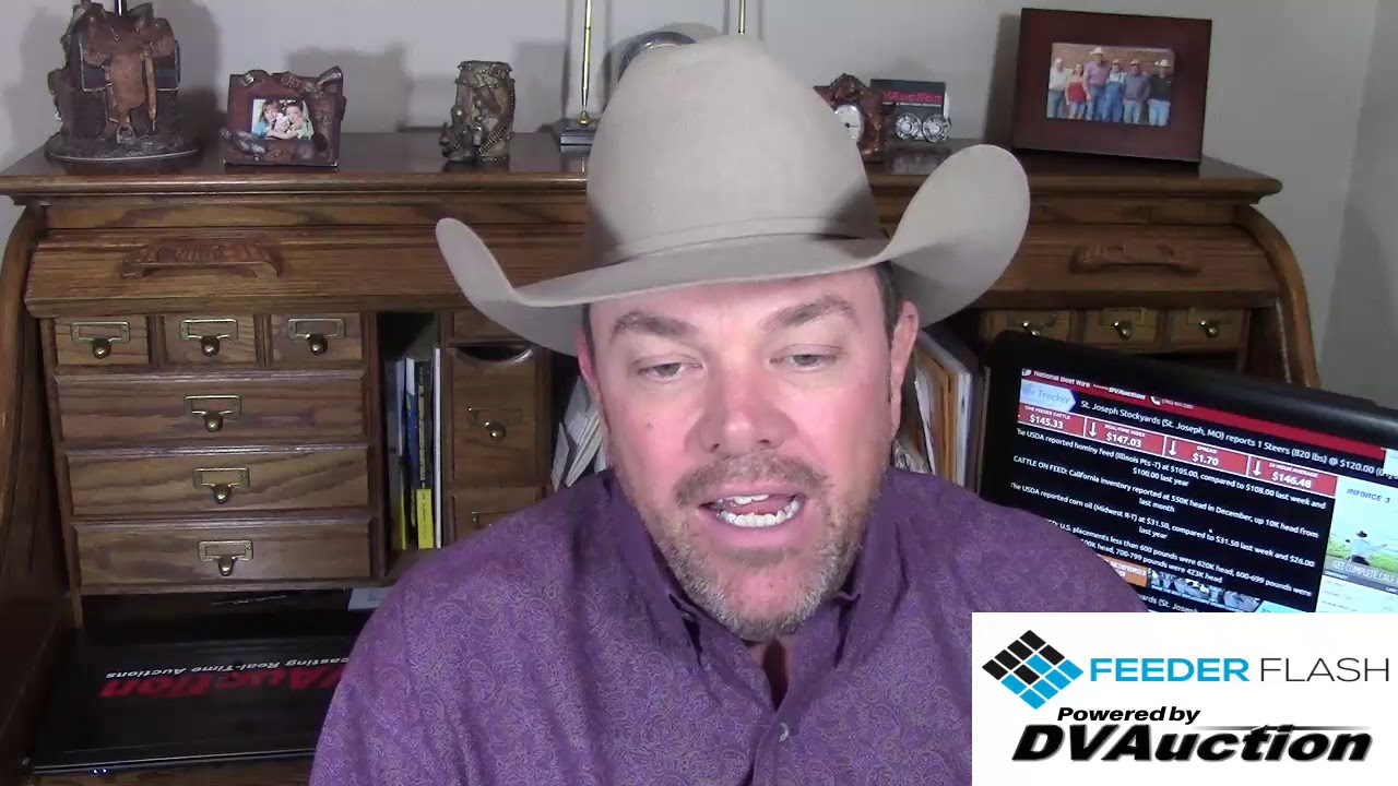 Feeder Flash 1/2: Springboard - YouTube