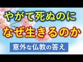 かならず死ぬのに生きる意味はあるのか？【意外な釈迦の答え】