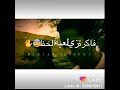 مافي قلب بشيل اثنين 
