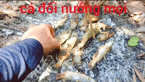 vào rừng thả lưới cá  và thưởng thức món cá nướng vừa mới giăng được