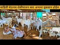 माहिती घेऊनच शेळीपालन कराअन्यथा नुकसान होईल | How to start goat farming in maharashtra