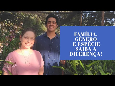 Vídeo: Diferença Entre Gênero E Espécie