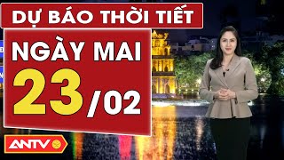 Dự báo thời tiết ngày mai 23\/2: Bắc Bộ đón mưa do khối không khí lạnh tràn về | ANTV