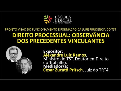 Palestra On-line: Projeto Visão do Funcionamento e Formação da Jurisprudência do TST