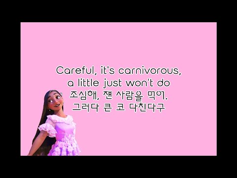 엔칸토(Encanto)-뭘 더 할 수 있을까? What Else Can I Do? 한국어 번역