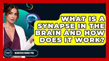 What Is A Synapse In The Brain And How Does It Work? - Neurotech Insight Pro
