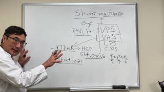 Shunt malfunction workup