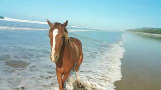 VID 20060406 022428 363