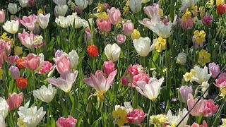 Mariah Carey  Almost Home  432hz