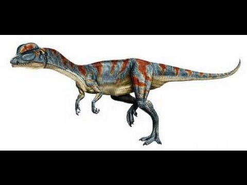Fossil Trip to Saint George Utah auf YouTube ansehen Fossil Trip to Saint George Utah auf YouTube ansehen