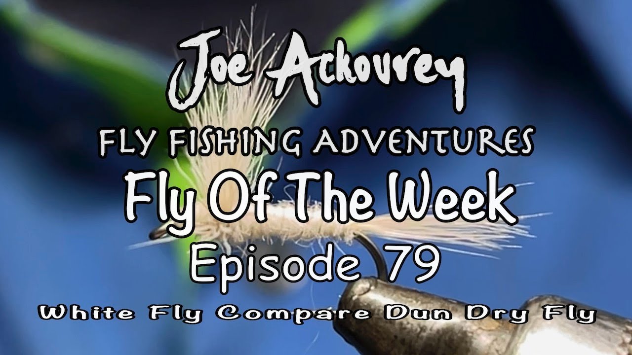 Ep 79, How To Tie White Fly Compara Dun Dry Fly Joe Ackourey's Fly ...