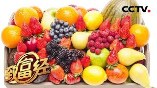 《致富经》 水果大叔的财富棋局 从10天赔480万到扭亏为盈变水果行家 20190805 | CCTV农业