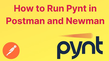 Pynt | Run in Postman and Newman | API Security Tool