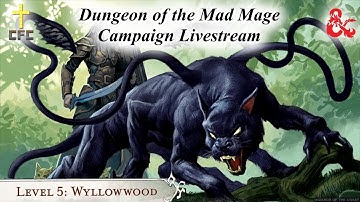 Dungeon of the Mad Mage - Session 28 - Willow