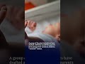 Russian Lawmakers Call for Ban on ‘Unusual’ Baby Names Like ‘Dumpling’ and ‘Stool’