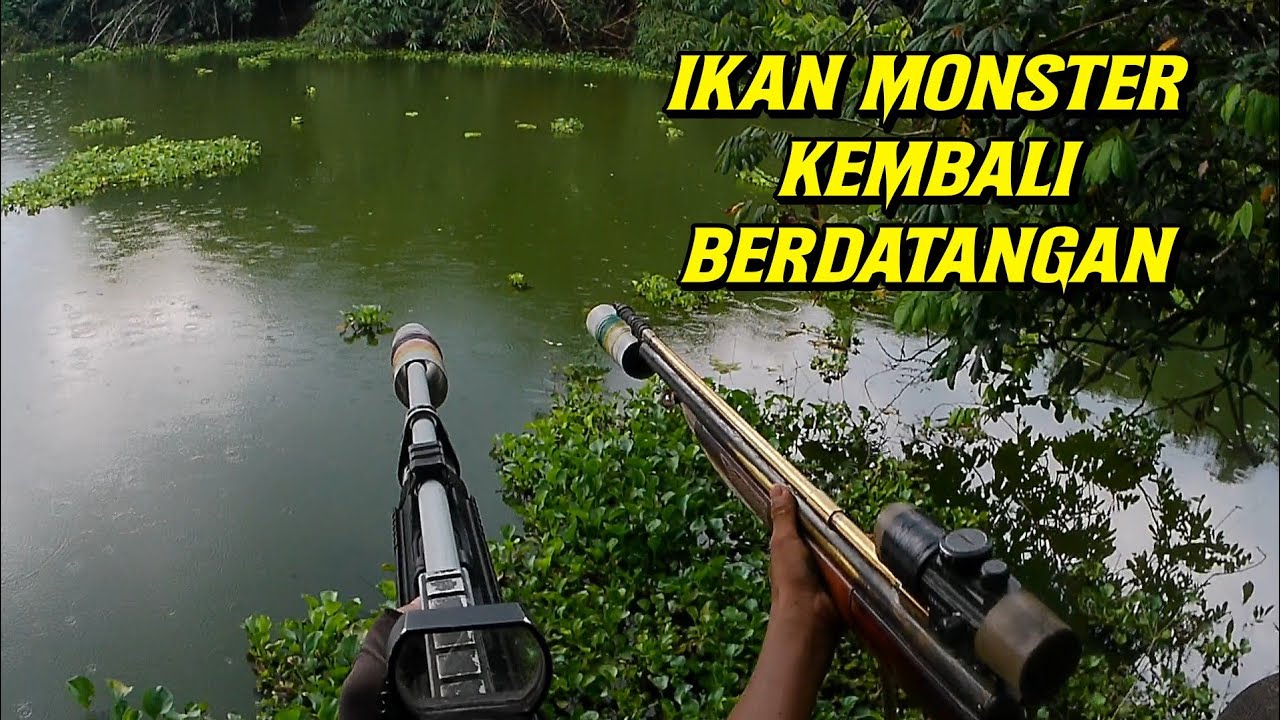 PASER IKAN ] AKHIRNYA PARA IKAN MONSTER KEMBALI BERDATANGAN !!!