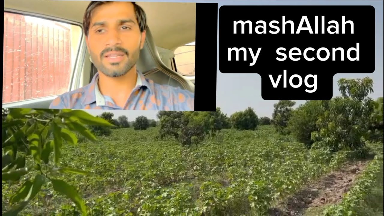 mashallah-my-second-vlog-like-and-suscribe-enjoy-and-entertaintment