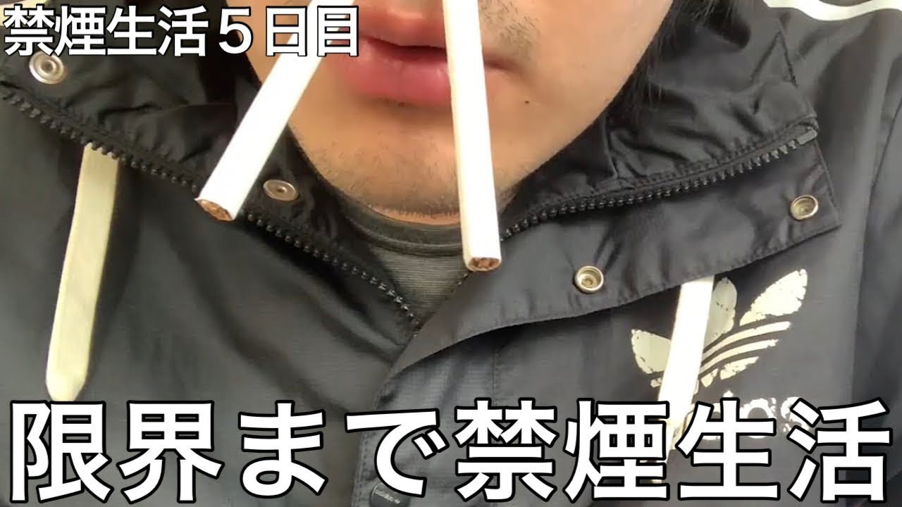 【旧実写】大学中退ヤニカスニートに限界まで禁煙させてみたらヤニ不足で理解できない行動ばかりし始めた