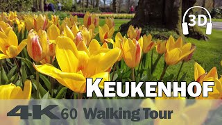 Keukenhof 2021 , Garden of Europe, Flowers, Tulips ⛅ | Netherlands | 4K60 Walking Tour | 3D Audio